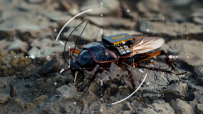 A SWARM Biotactics bio-robotic unit equipped with a custom sensor backpack