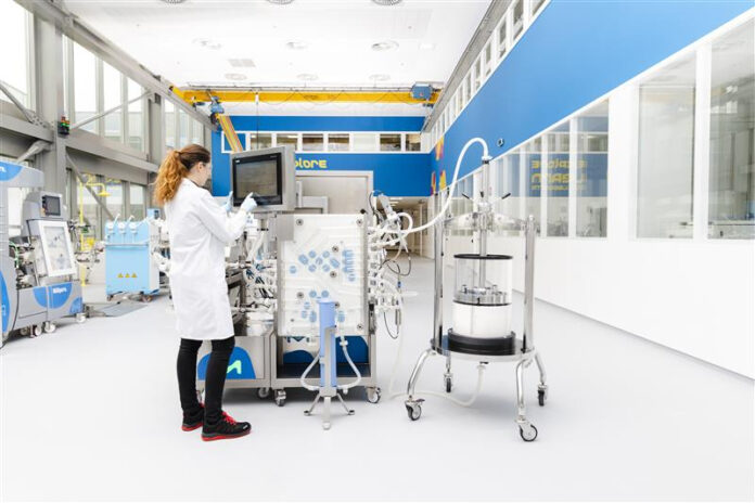 Amsphere™ Protein A