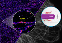 Syncell Launches Synlight-Pure Kit for Ultra-High-Precision Proteomic Discovery